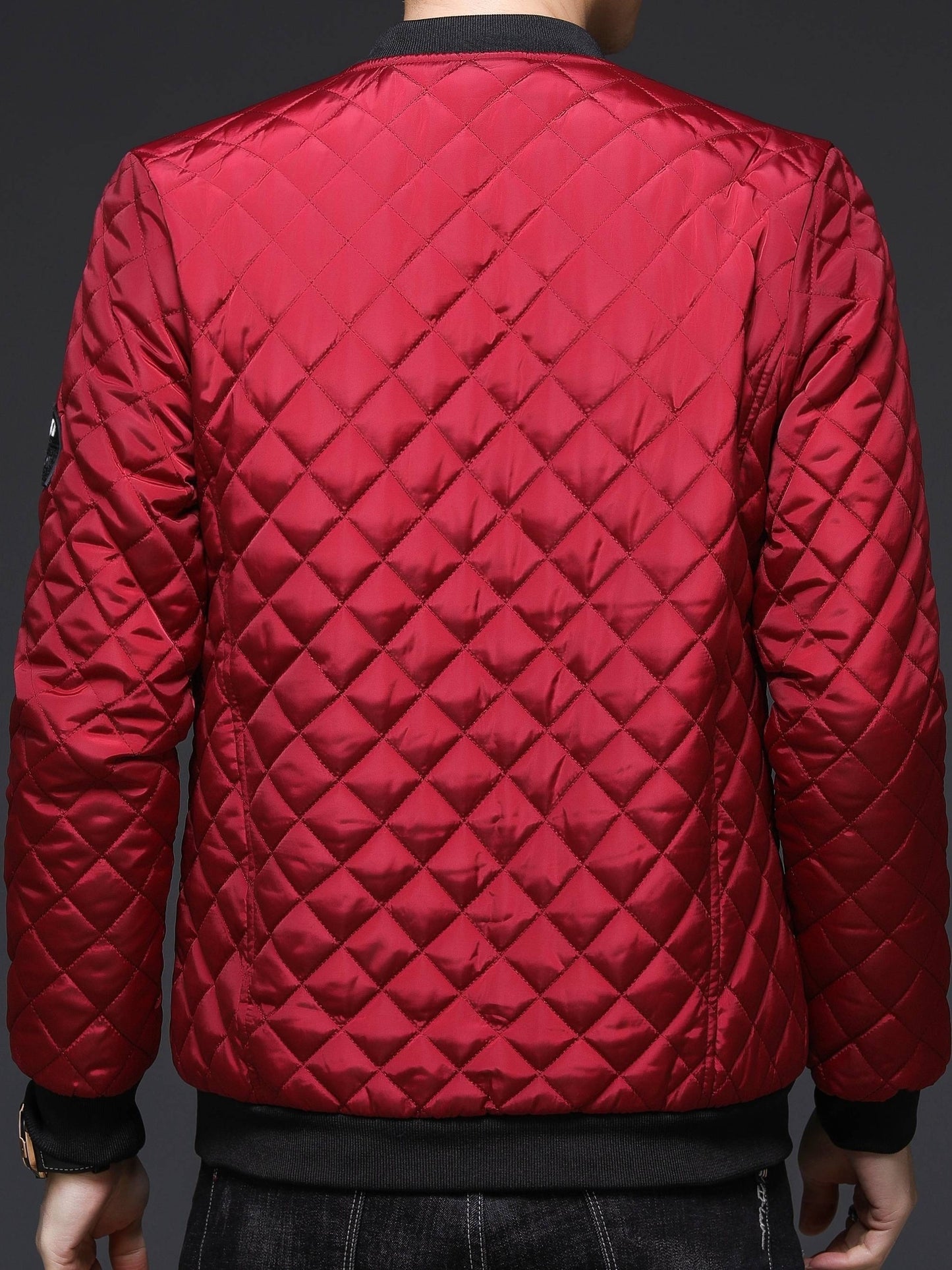 Men's Casual Quilted Zip Up Jacket, Chic Baseball Collar Jacket For Fall Winter
